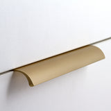 Phoenix Aluminum Lip Pull Handle